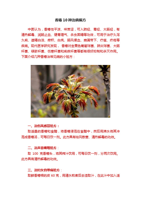 香椿10种治病偏方