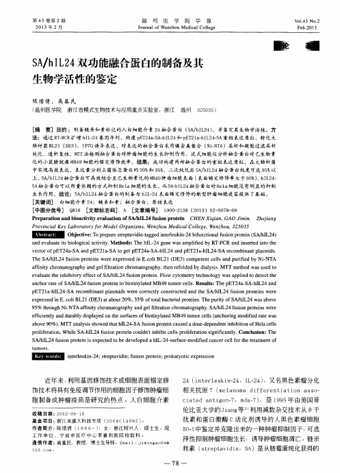 SA/hIL24双功能融合蛋白的制备及其生物学活性的鉴定