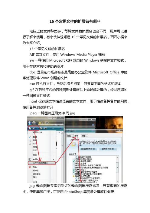 15个常见文件的扩展名有哪些