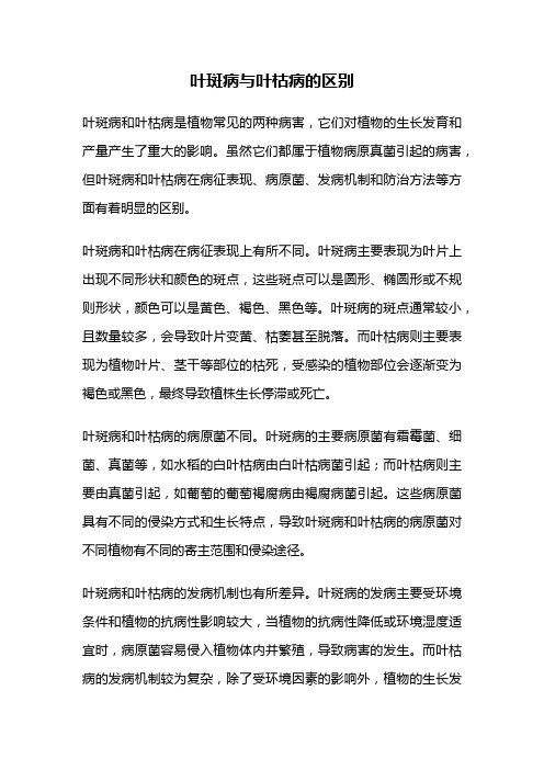 叶斑病与叶枯病的区别