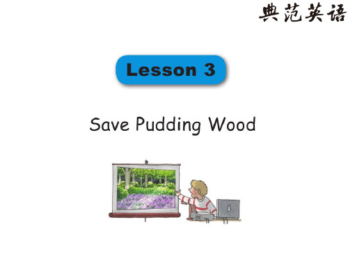 典范英语拼读课程3 Lesson3