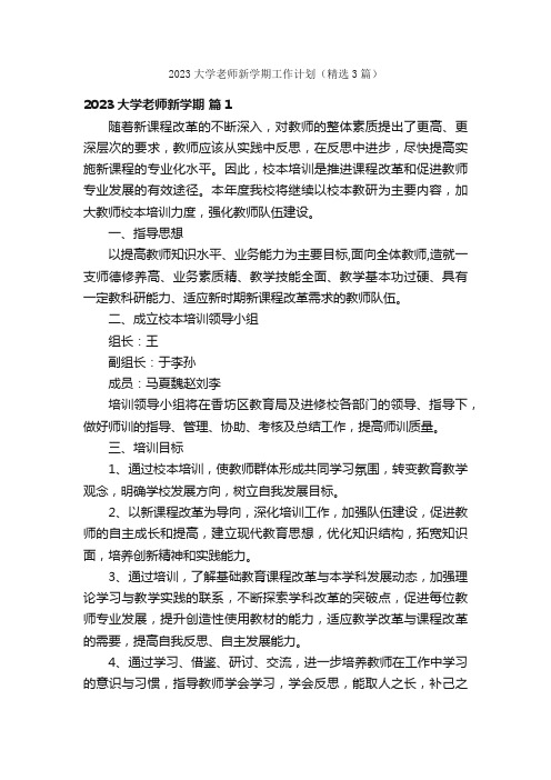 2023大学老师新学期工作计划（精选3篇）