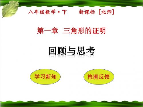 最新北师大版八年级数学下册第一章三角形的证明回顾与思考PPT课件