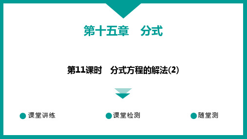 人教版数学八年级上册 习题课件+第十五章+分式+第11课时 分式方程的解法(2)