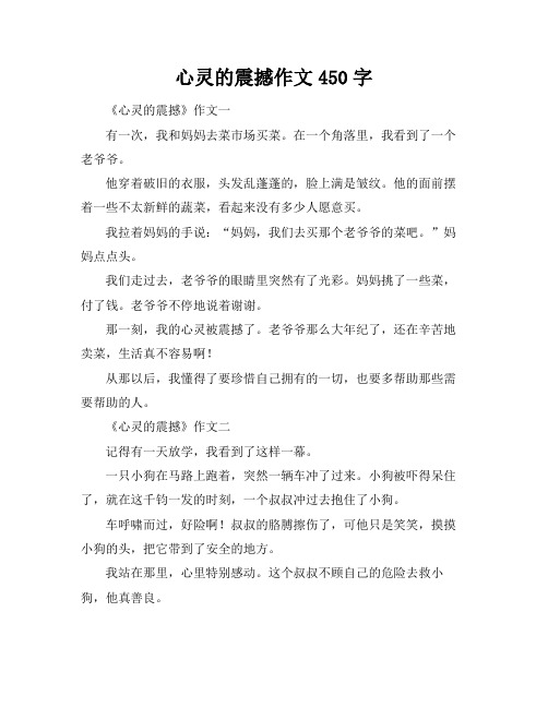 心灵的震撼作文450字