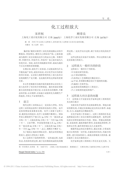 化工过程放大_宋世权