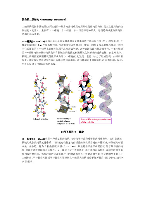 蛋白质二级结构