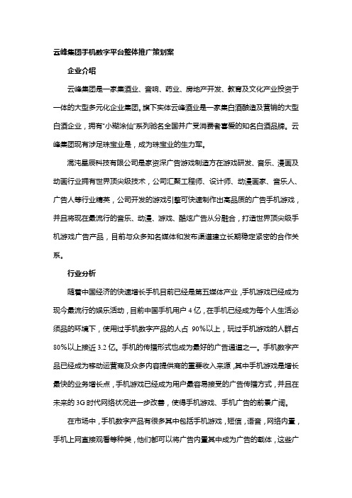云峰策划案