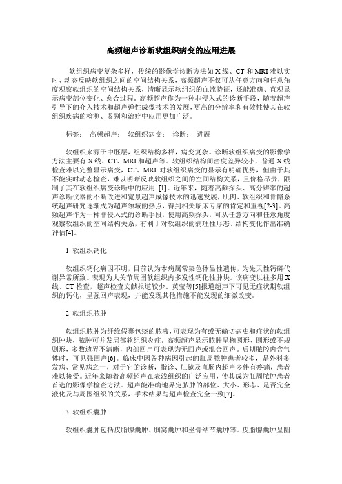 高频超声诊断软组织病变的应用进展