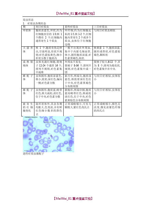 【参考借鉴】疟原虫形态图谱.doc