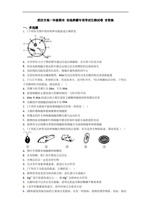 武汉市高一年级期末 非选择题专项考试生物试卷 含答案