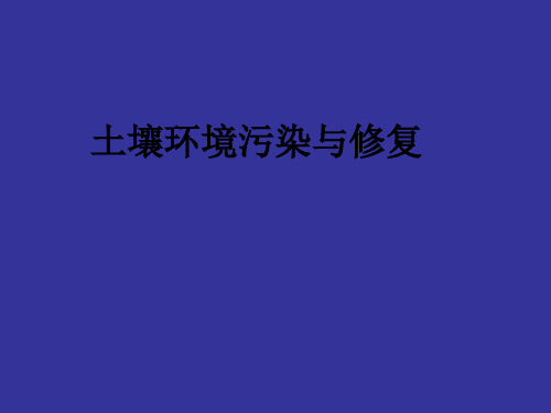 土壤环境污染与修复.pptx