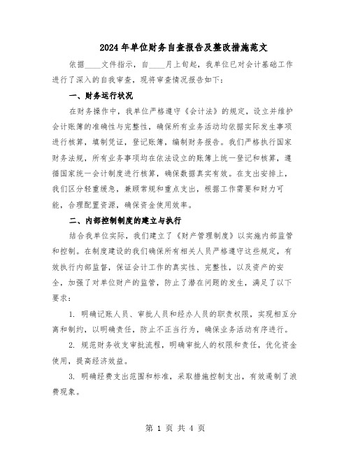 2024年单位财务自查报告及整改措施范文(二篇)