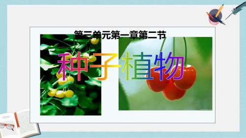 2019-2020年鲁科版生物六年级下册3.1.3《种子植物》课件3 (共84张PPT)