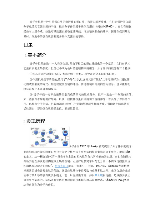 蛋白质,分子伴侣定义及运用