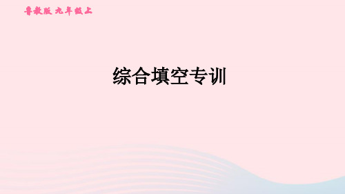 九年级英语全册期末专训综合填空习题鲁教版五四制