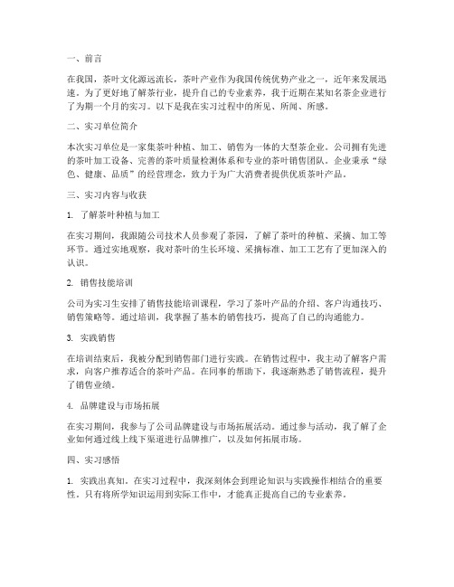 茶企业实习报告