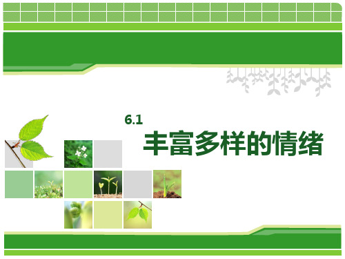 七年级上 丰富多样的情绪