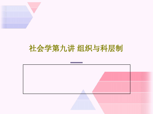 社会学第九讲 组织与科层制PPT文档29页