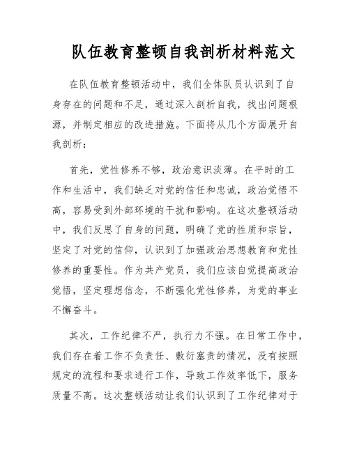 队伍教育整顿自我剖析材料范文