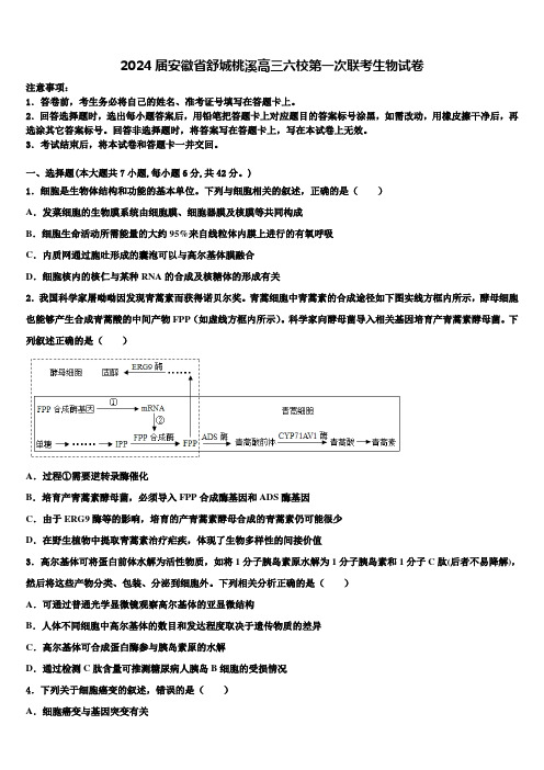 2024届安徽省舒城桃溪高三六校第一次联考生物试卷含解析