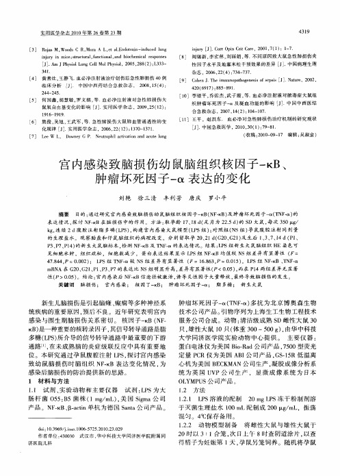 宫内感染致脑损伤幼鼠脑组织核因子-κB、肿瘤坏死因子-α表达的变化