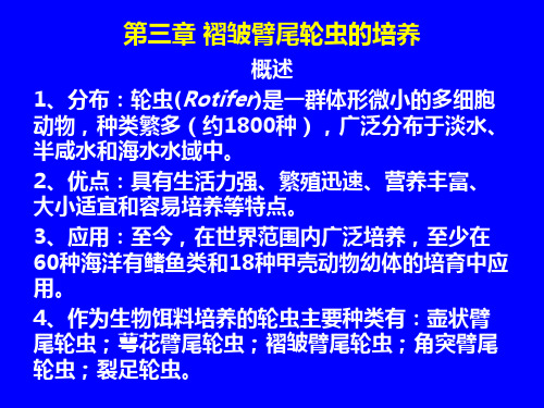 饵料生物之轮虫的营养价值及培养技术要点