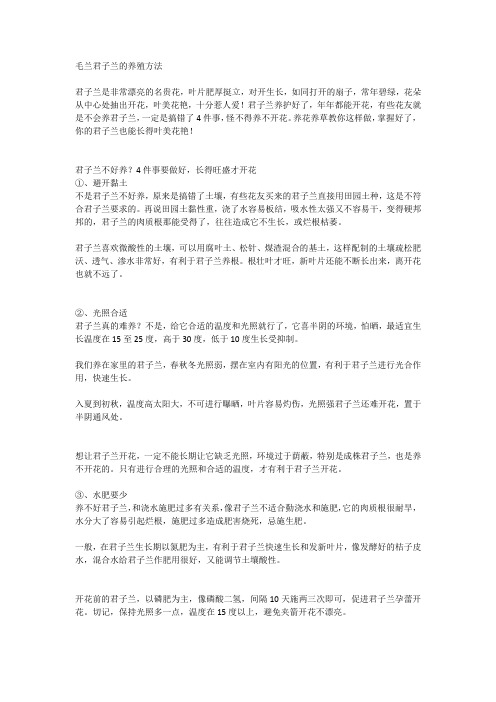 毛兰君子兰的养殖方法