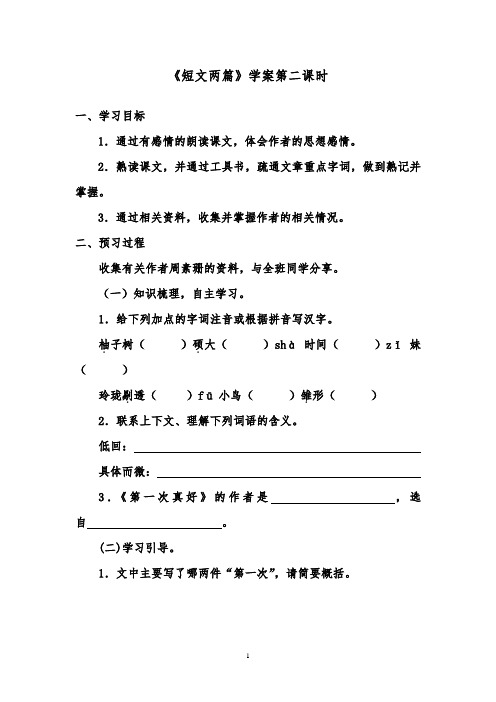 推荐精品语文鲁教版(五四制)小学六年级下册《短文两篇》优质课学案第二课时