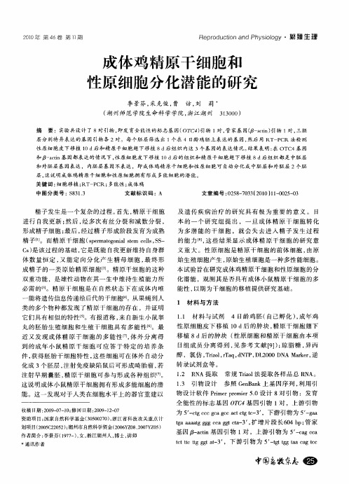 成体鸡精原干细胞和性原细胞分化潜能的研究