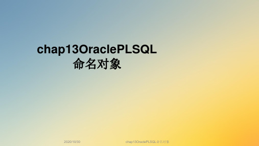 chap13OraclePLSQL命名对象