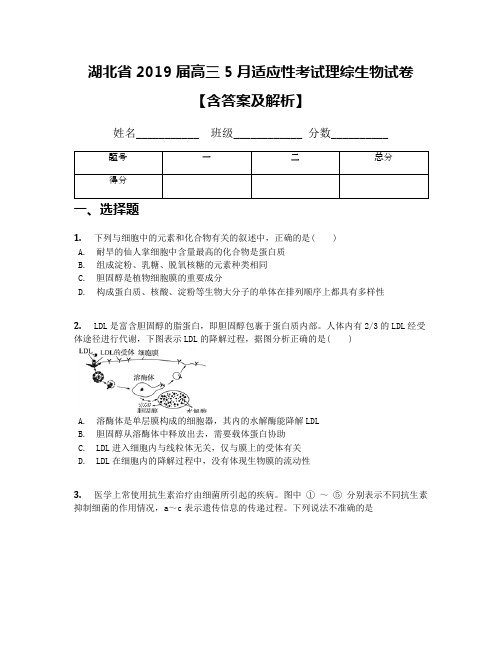 湖北省2019届高三5月适应性考试理综生物试卷【含答案及解析】