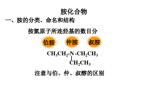 02-胺类化合物课件