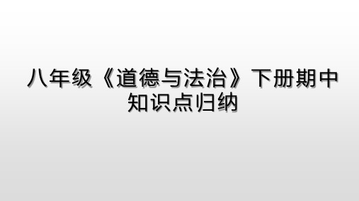 人教版八年级道德与法治下册期中复习课件(共30张PPT)