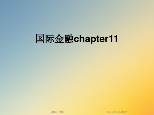 国际金融chapter11