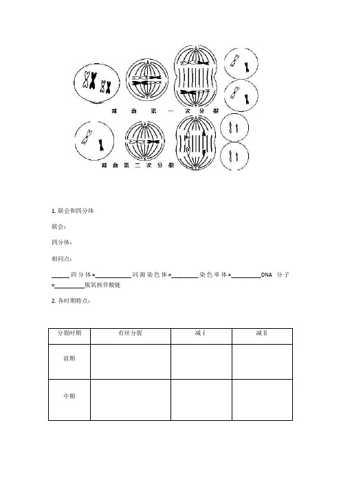 减数分裂知识点框图