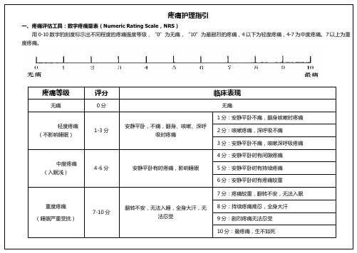 护理各类评分表