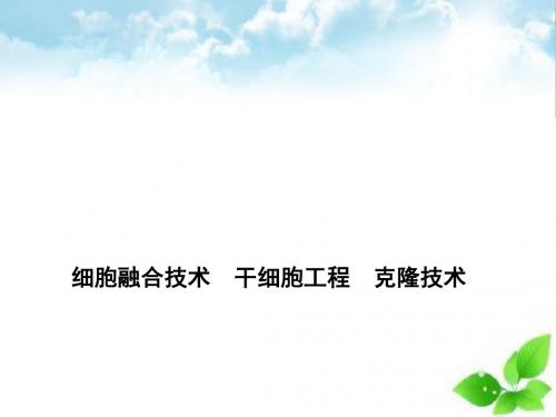 细胞融合技术、干细胞工程、克隆技术ppt课件(自制)