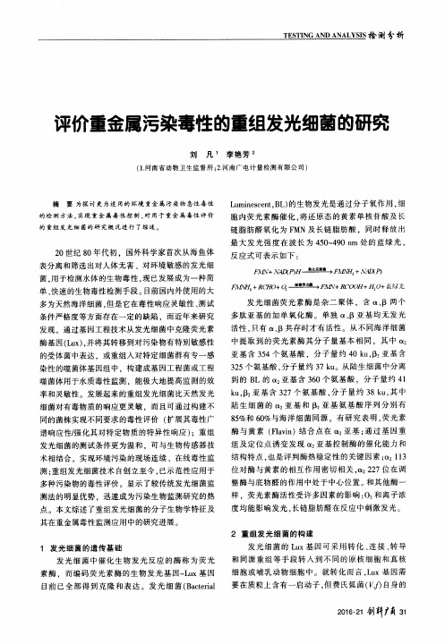 评价重金属污染毒性的重组发光细菌的研究