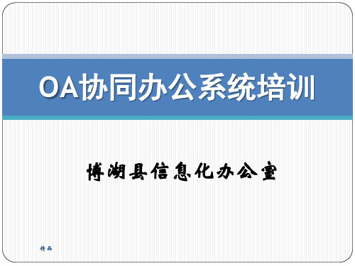 博湖县信息化办公室-新版演示课件-精选.ppt