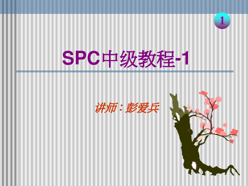 SPC中级教程