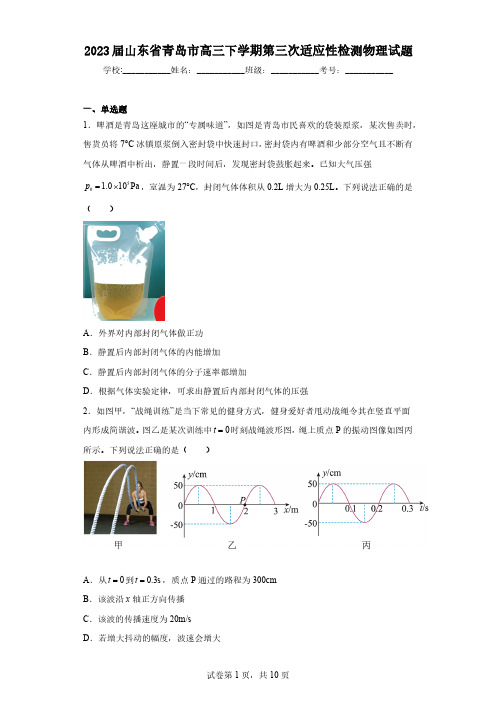 2023届山东省青岛市高三下学期第三次适应性检测物理试题(含解析)