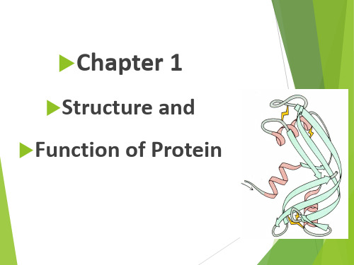 生物化学与分子生物学第一章蛋白质ppt(八年制英文课件)