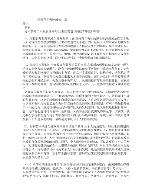 高校青年教师成长计划