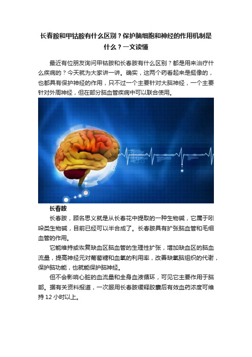 长春胺和甲钴胺有什么区别？保护脑细胞和神经的作用机制是什么？一文读懂