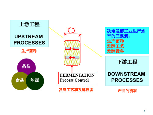 生物技术制药试验