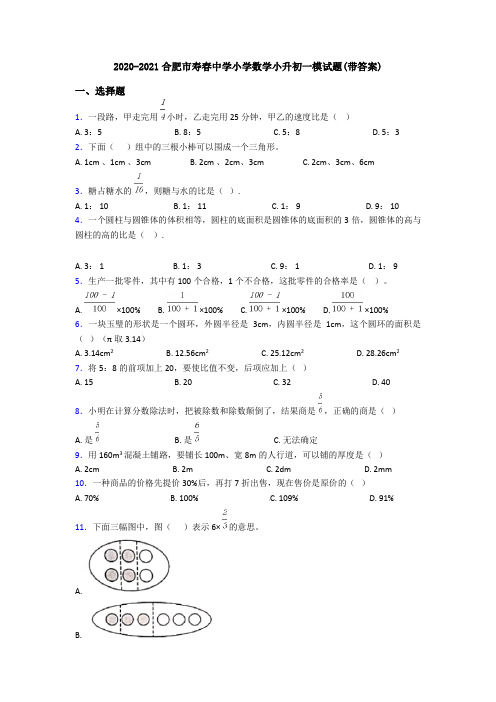 2020-2021合肥市寿春中学小学数学小升初一模试题(带答案)