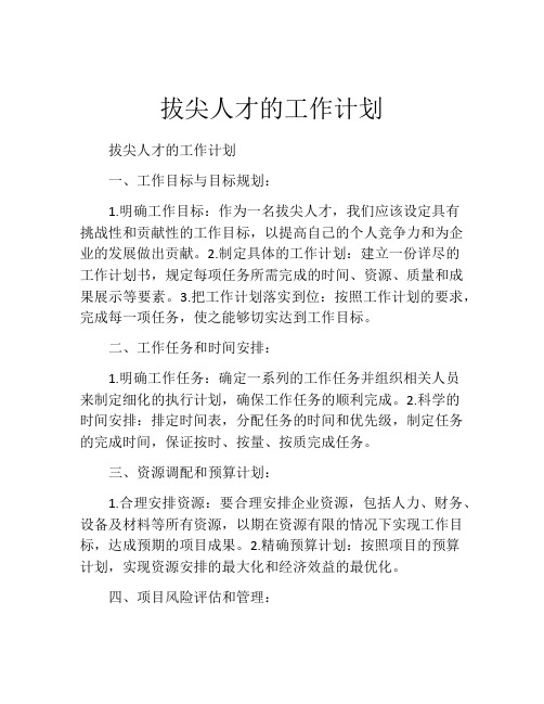 拔尖人才的工作计划