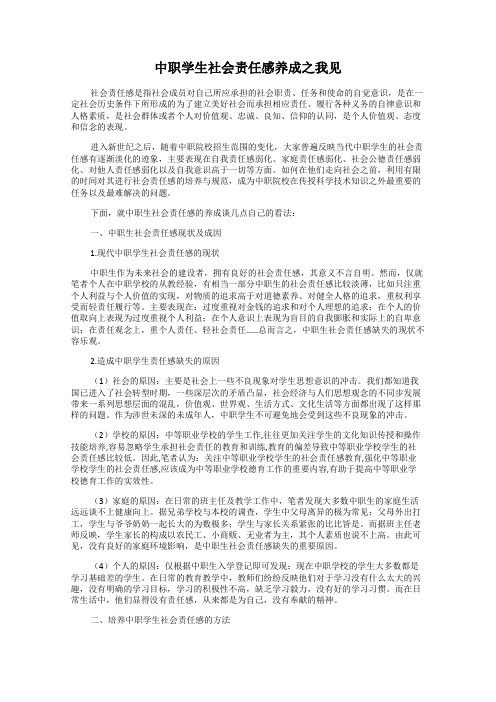 中职学生社会责任感养成之我见