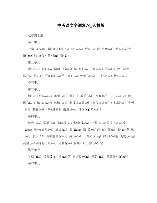 中考语文字词复习_人教版